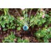 Hunter MP3500-90 сопло (форсунка) серії MP ROTATOR для статичного зрошувача